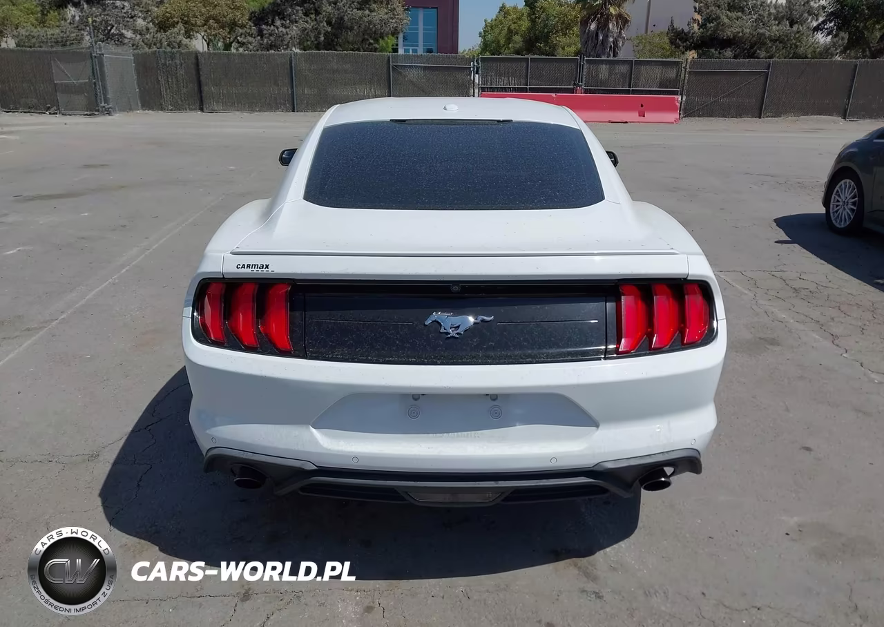 2020 Ford Mustang Ecoboost Premium Fastback VIN:1FA6P8TH0L5126278 - 16