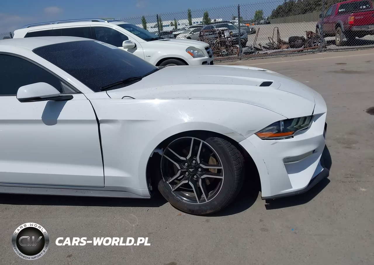2020 Ford Mustang Ecoboost Premium Fastback VIN:1FA6P8TH0L5126278 - 17