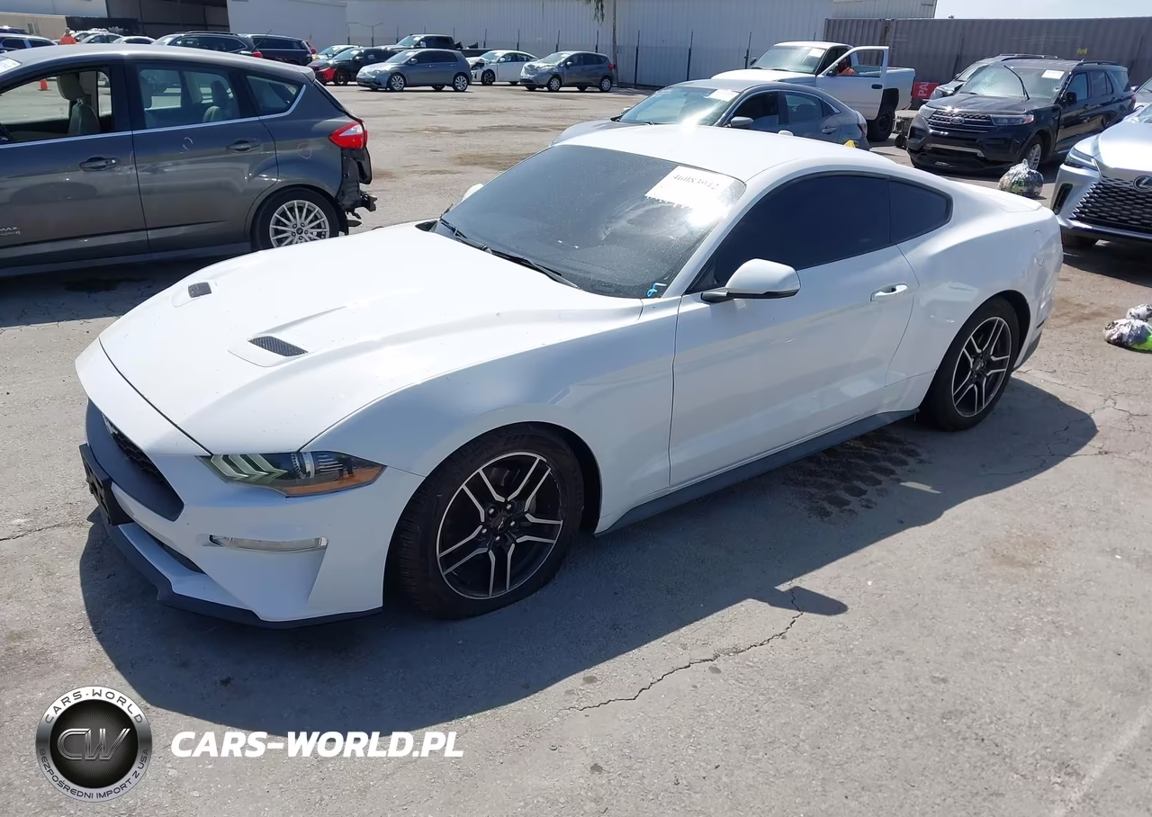 2020 Ford Mustang Ecoboost Premium Fastback VIN:1FA6P8TH0L5126278 - 2