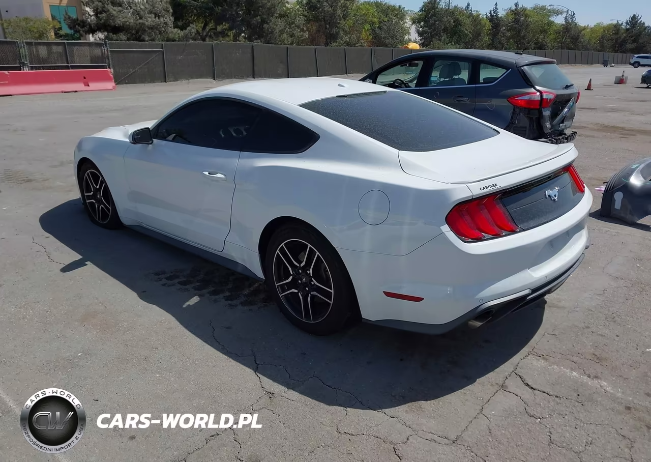 2020 Ford Mustang Ecoboost Premium Fastback VIN:1FA6P8TH0L5126278 - 3