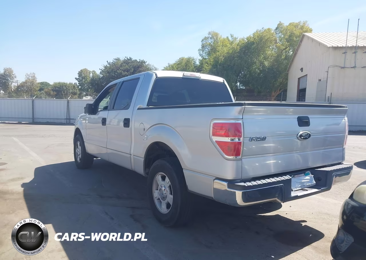 2009 Ford F-150 Xl-Xlt VIN:1FTRW12839FA59763 - 3
