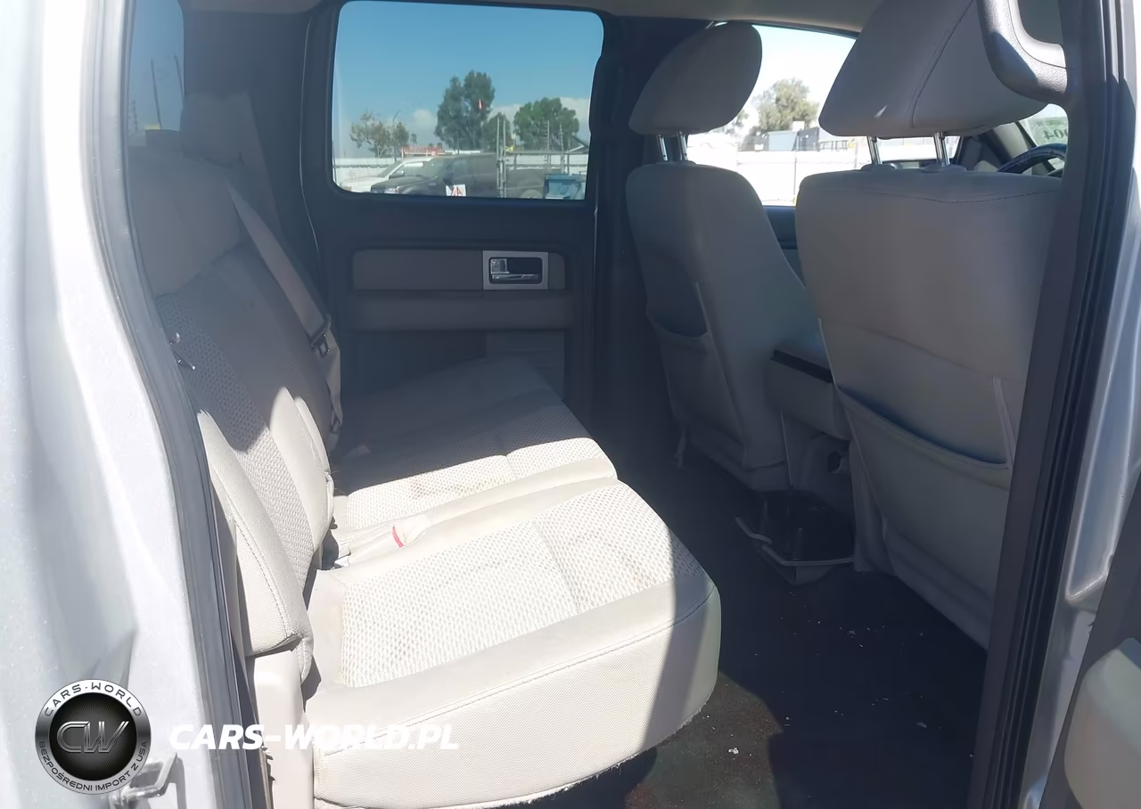 2009 Ford F-150 Xl-Xlt VIN:1FTRW12839FA59763 - 8