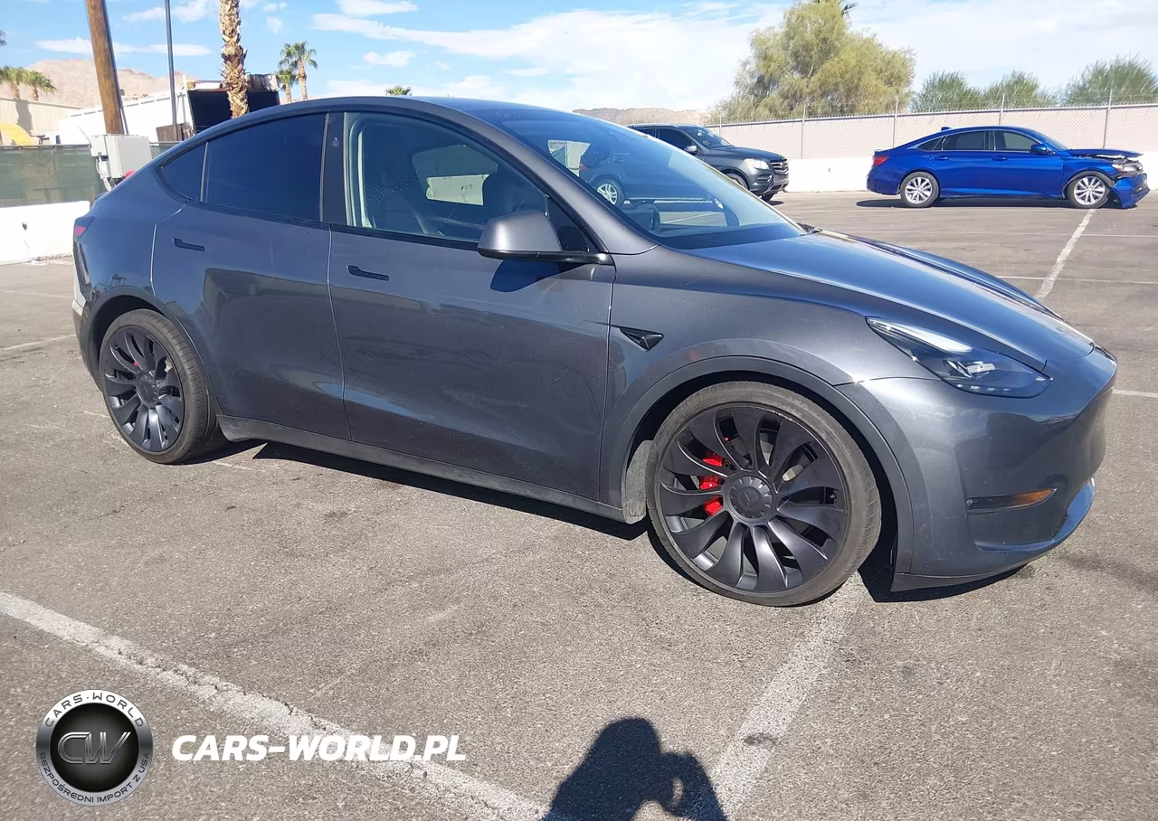2023 Tesla Model Y Performance Dual Motor All-Wheel Drive