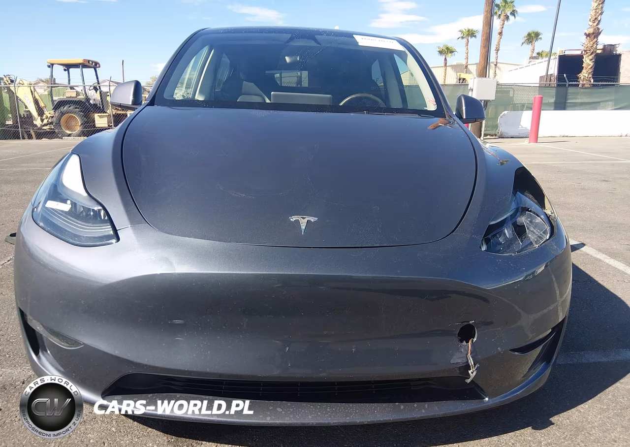 2023 Tesla Model Y Performance Dual Motor All-Wheel Drive VIN:7SAYGDEF2PF835129 - 10