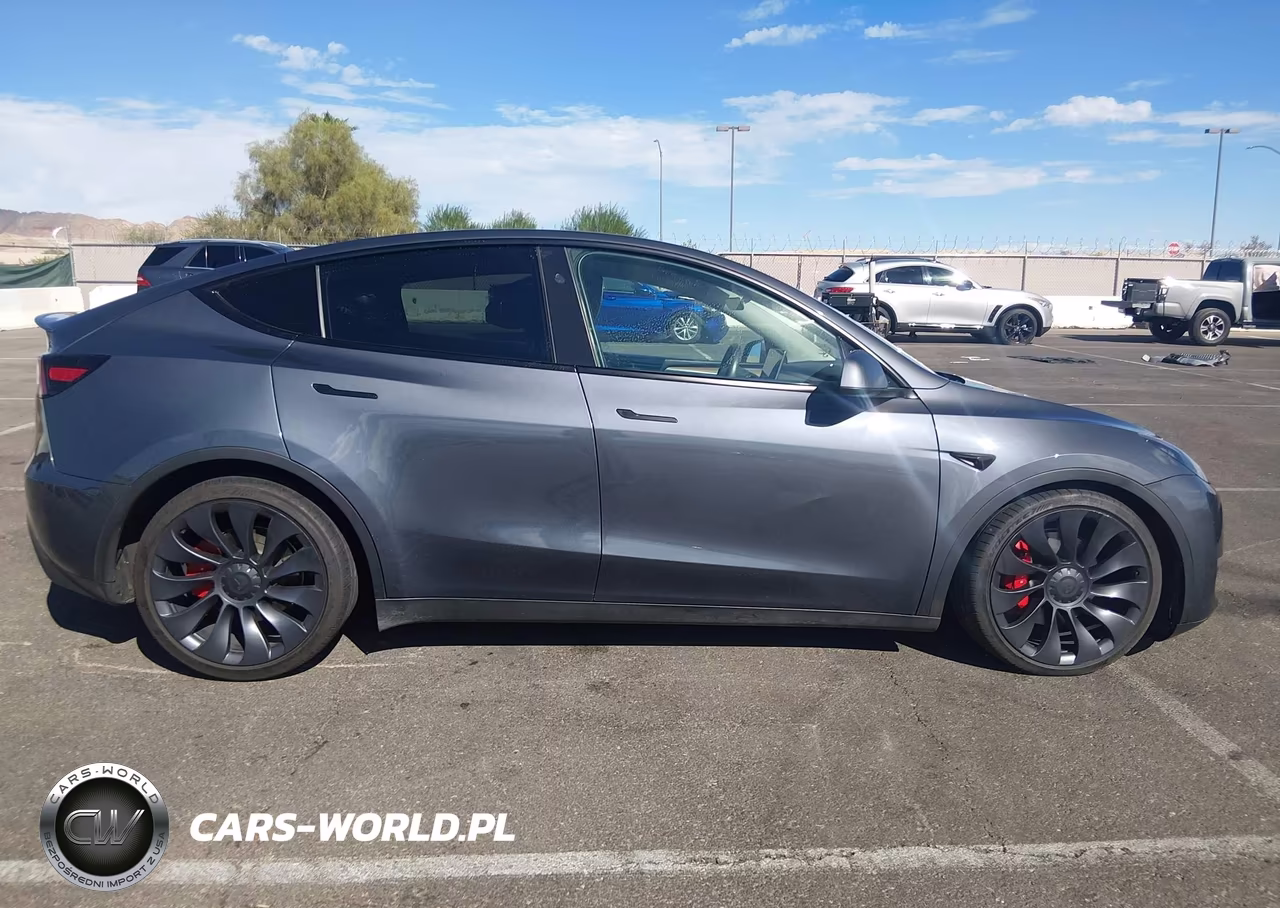 2023 Tesla Model Y Performance Dual Motor All-Wheel Drive VIN:7SAYGDEF2PF835129 - 11