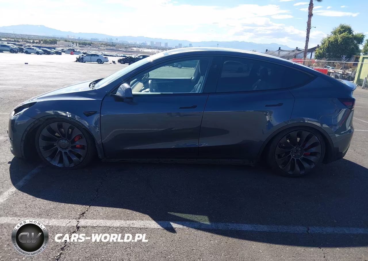 2023 Tesla Model Y Performance Dual Motor All-Wheel Drive VIN:7SAYGDEF2PF835129 - 12