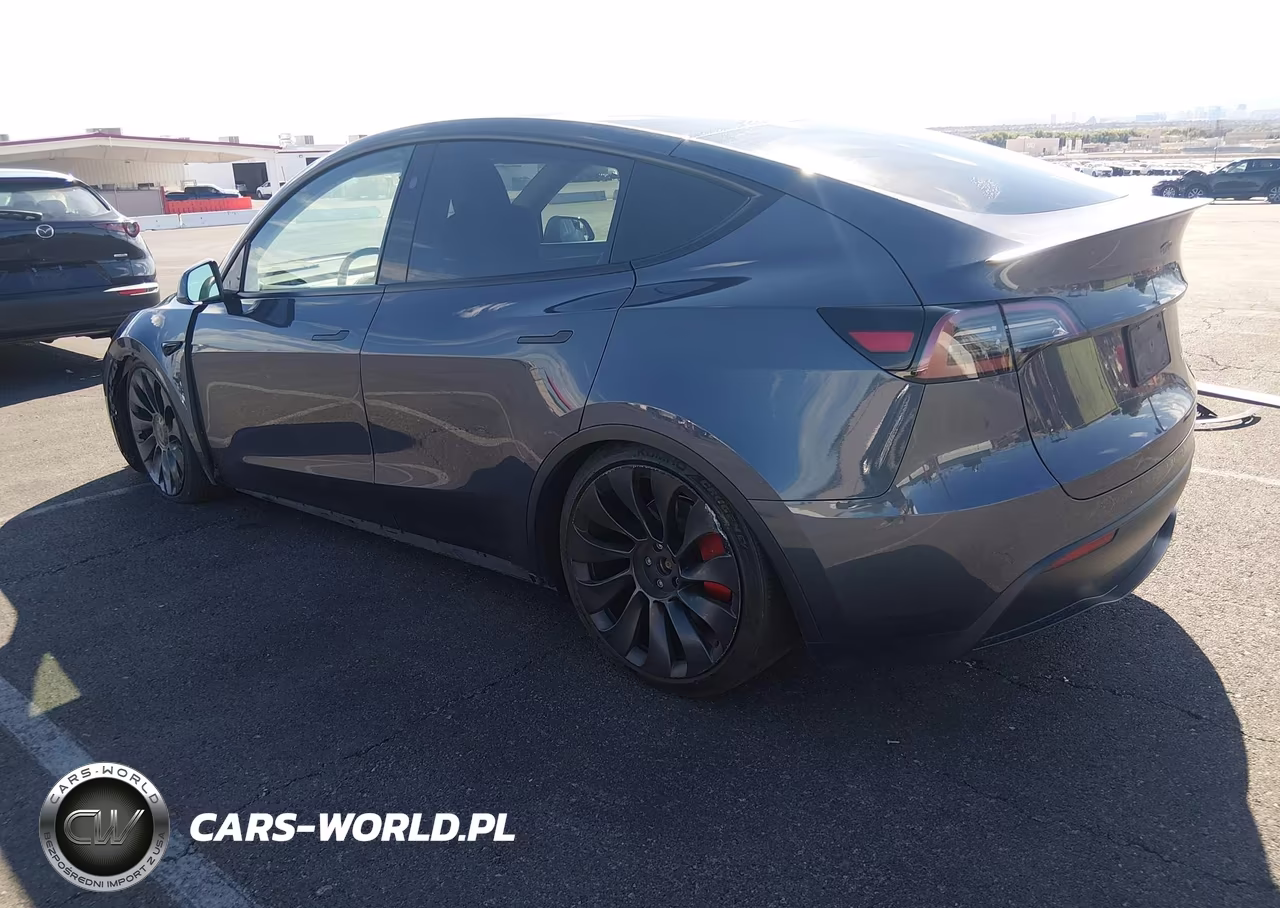 2023 Tesla Model Y Performance Dual Motor All-Wheel Drive VIN:7SAYGDEF2PF835129 - 3