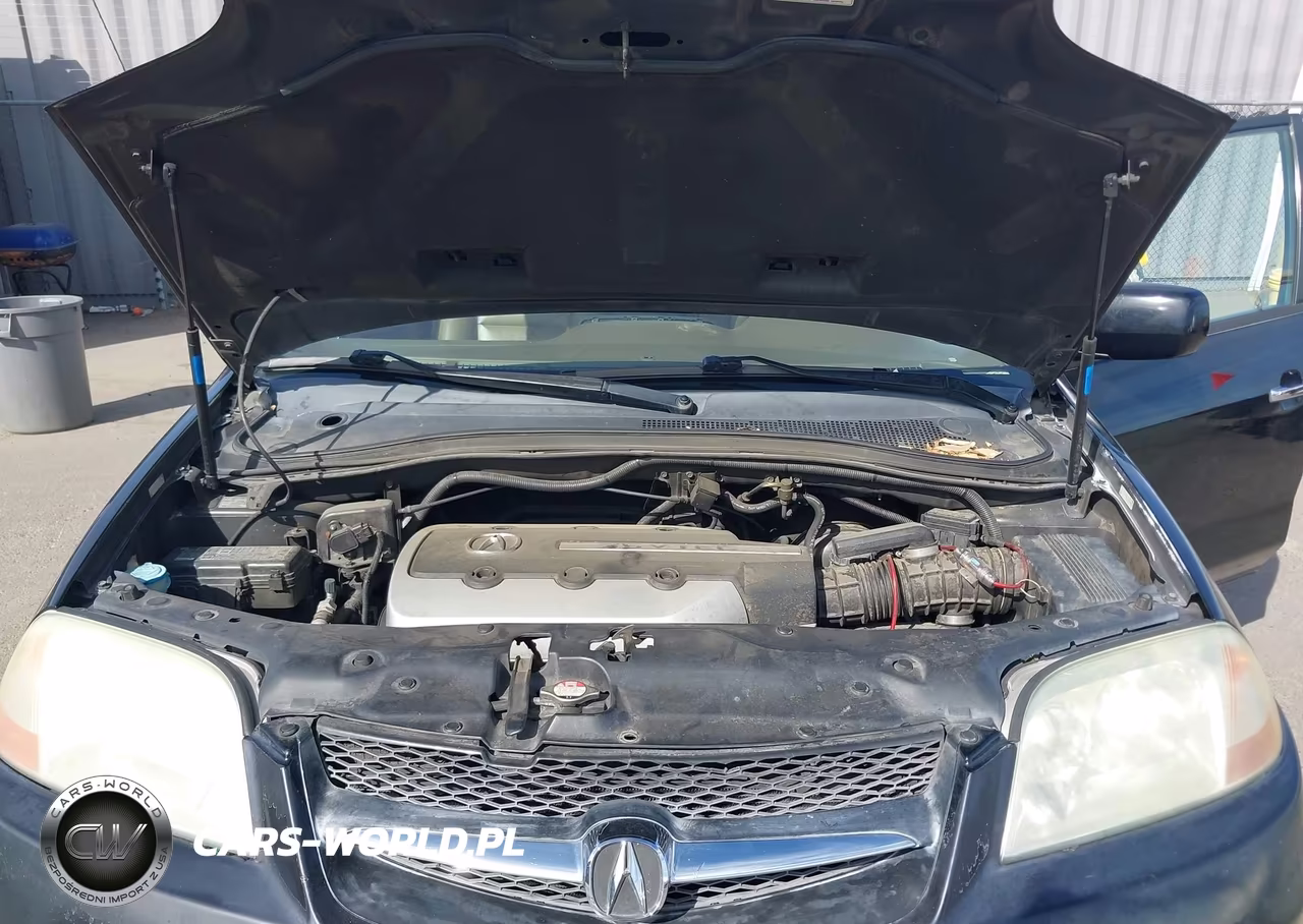 2003 Acura Mdx VIN:2HNYD18753H523782 - 10
