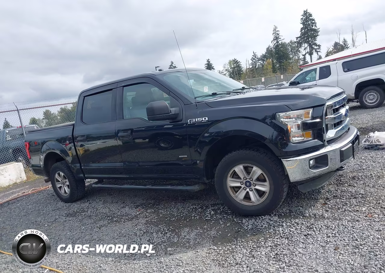2016 Ford F-150 Xlt VIN:1FTEW1EPXGFC31415 - 13