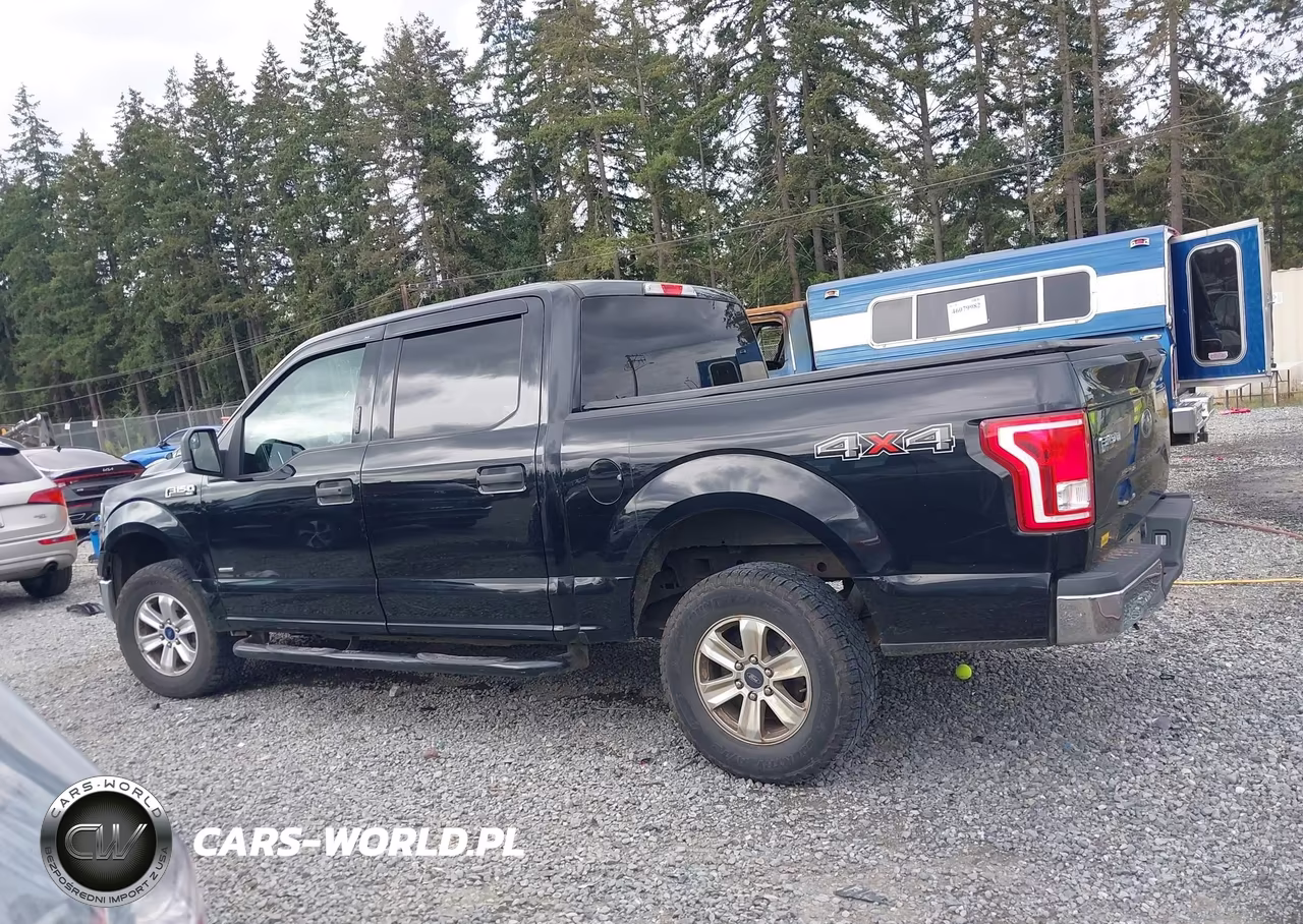 2016 Ford F-150 Xlt VIN:1FTEW1EPXGFC31415 - 14