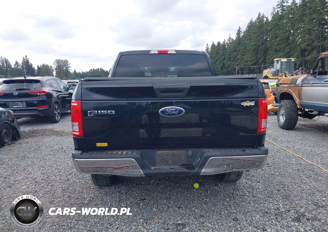 2016 Ford F-150 Xlt VIN:1FTEW1EPXGFC31415 - 16