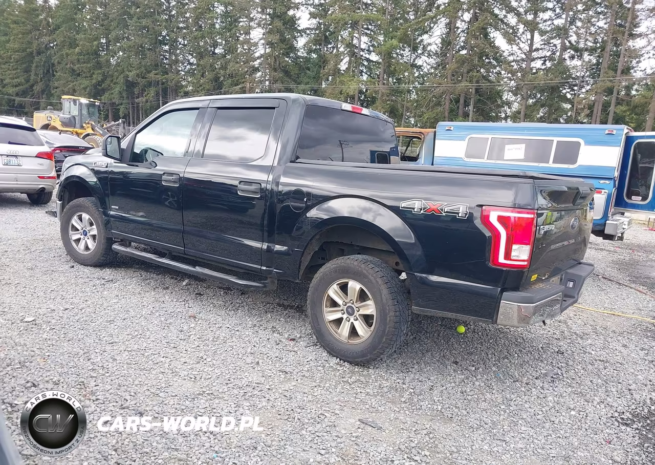 2016 Ford F-150 Xlt VIN:1FTEW1EPXGFC31415 - 3