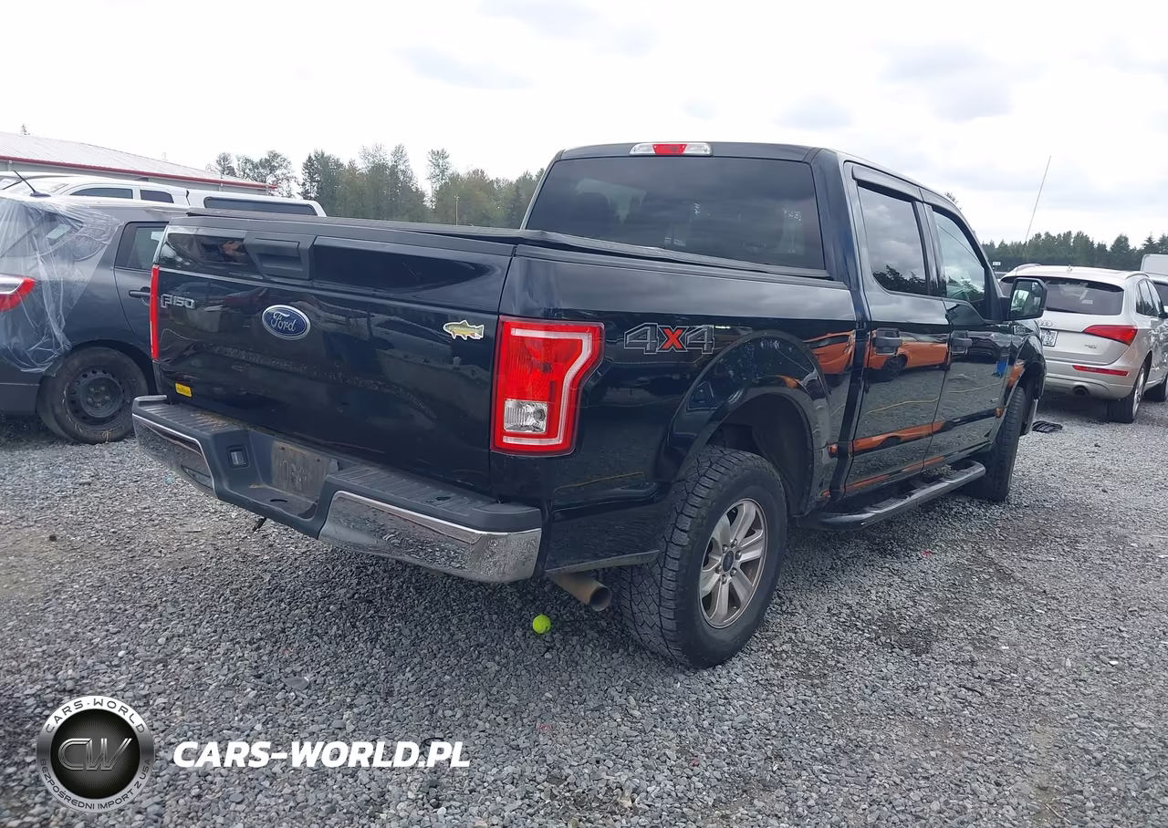 2016 Ford F-150 Xlt VIN:1FTEW1EPXGFC31415 - 4