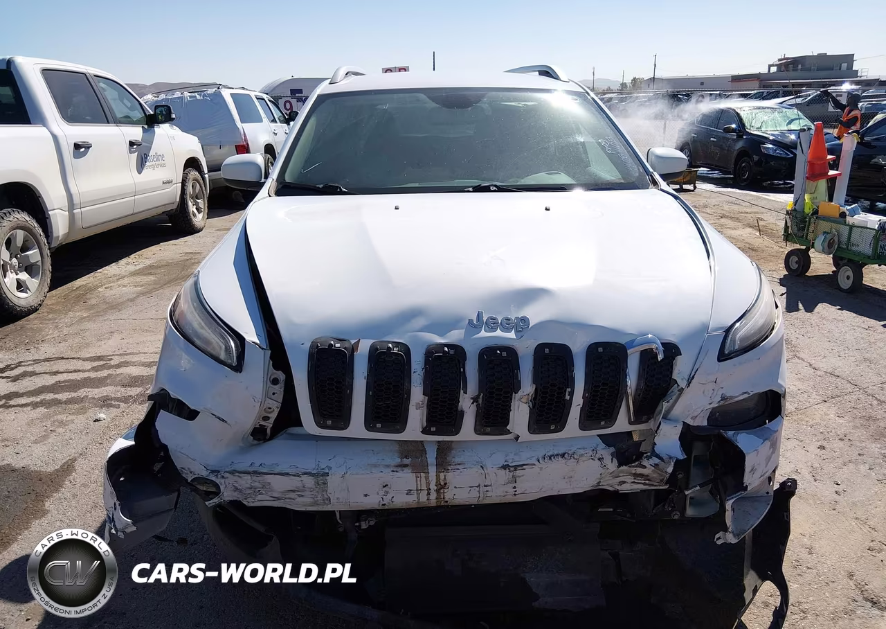 2014 Jeep Cherokee Latitude VIN:1C4PJMCSXEW192564 - 12