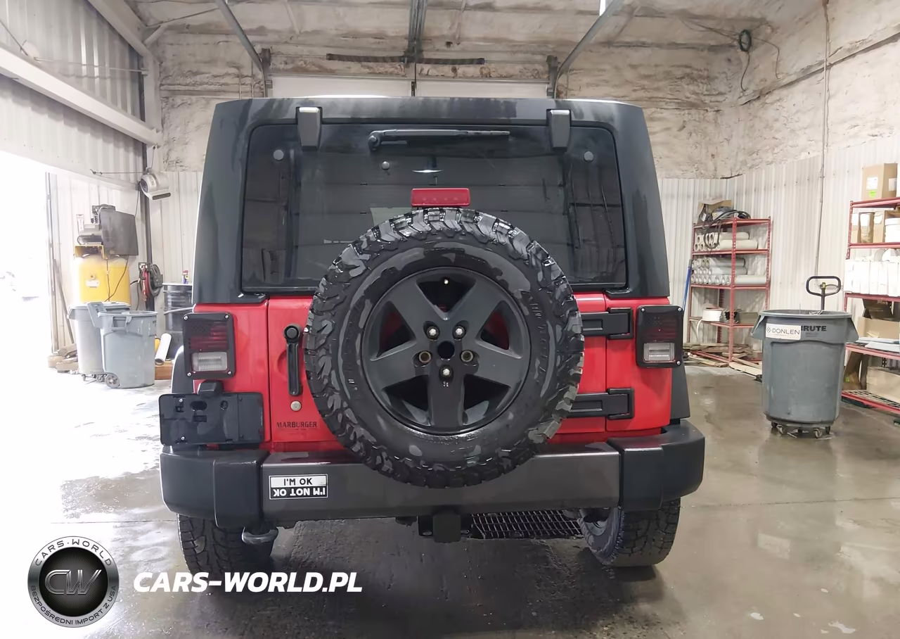 2017 Jeep Wrangler Unlimited Big Bear 4X4 VIN:1C4BJWDG0HL690861 - 17