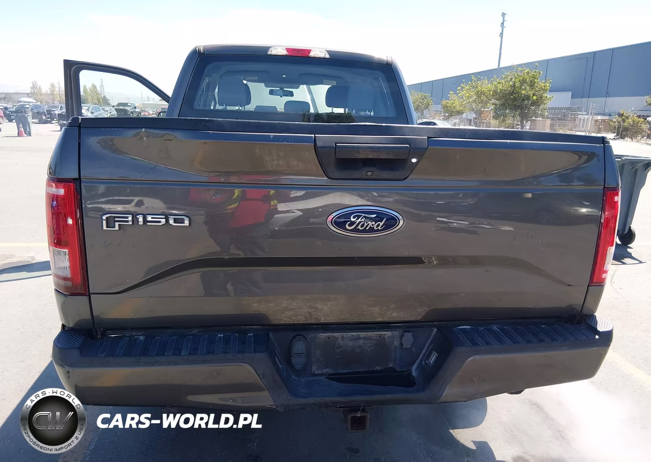 2016 Ford F-150 Xl VIN:1FTEX1EP3GKE47224 - 12