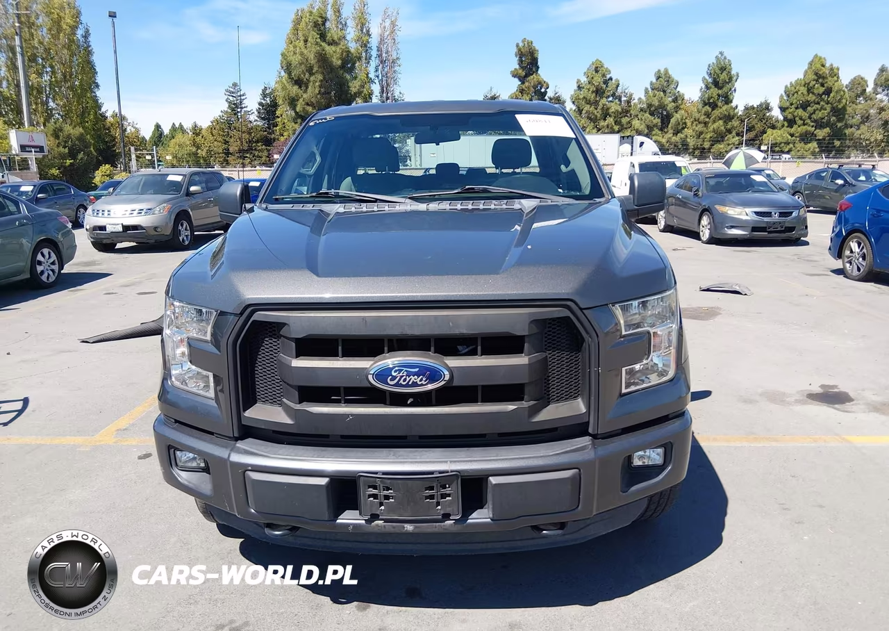2016 Ford F-150 Xl VIN:1FTEX1EP3GKE47224 - 13