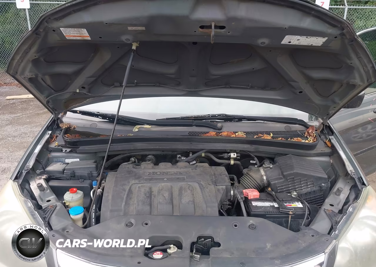 2009 Honda Odyssey Lx VIN:5FNRL382X9B047525 - 10