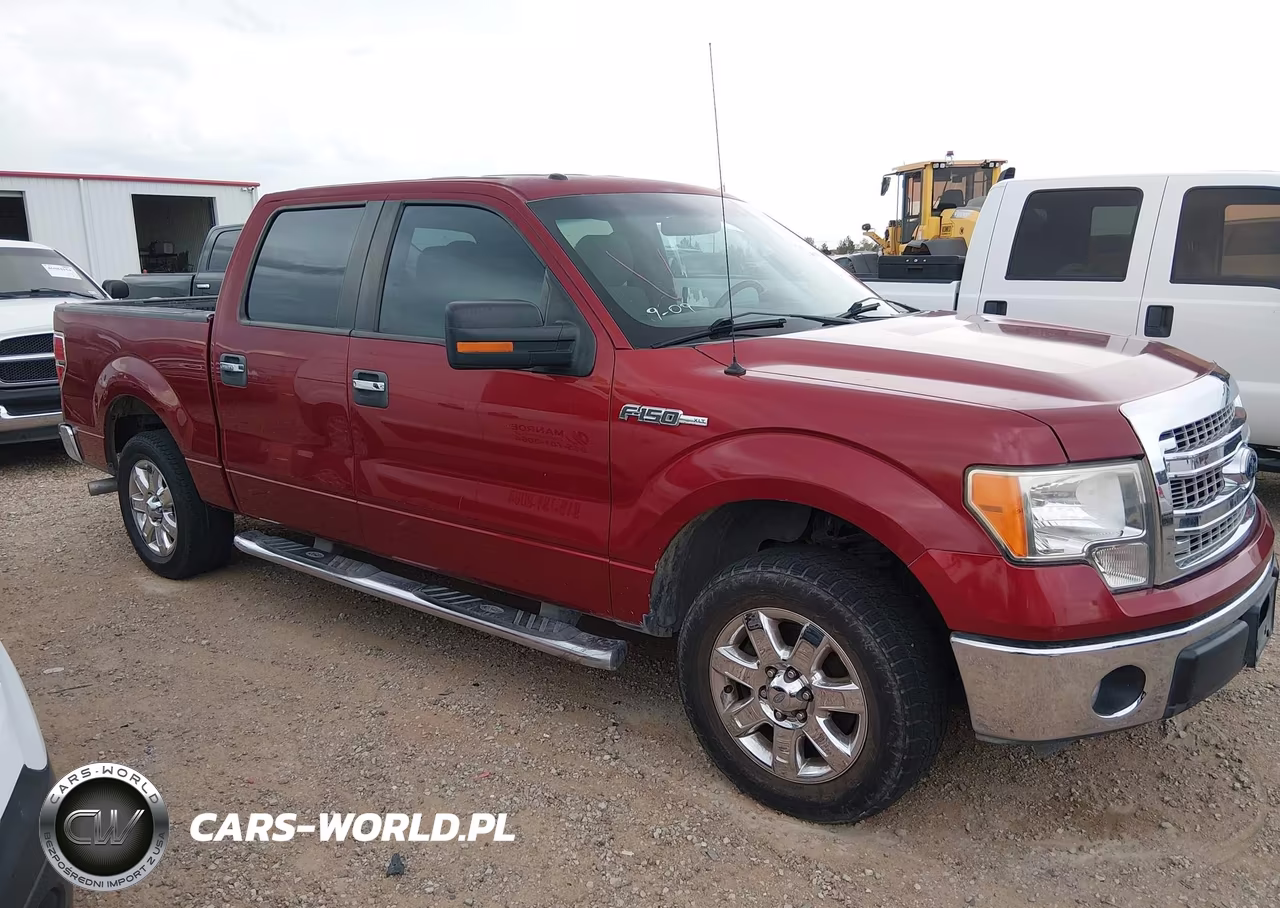 2013 Ford F-150 Xlt VIN:1FTEW1CM6DKF09304 - 13