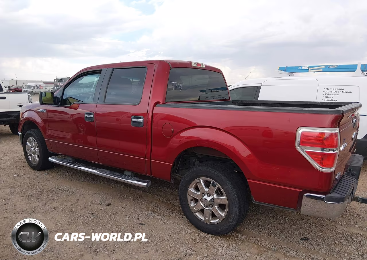 2013 Ford F-150 Xlt VIN:1FTEW1CM6DKF09304 - 14