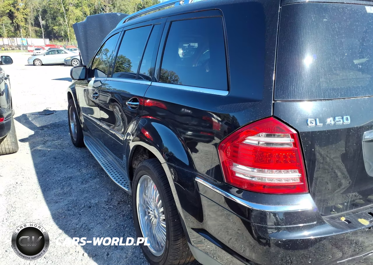 2010 Mercedes-Benz Gl 450 4Matic VIN:4JGBF7BE2AA546864 - 3