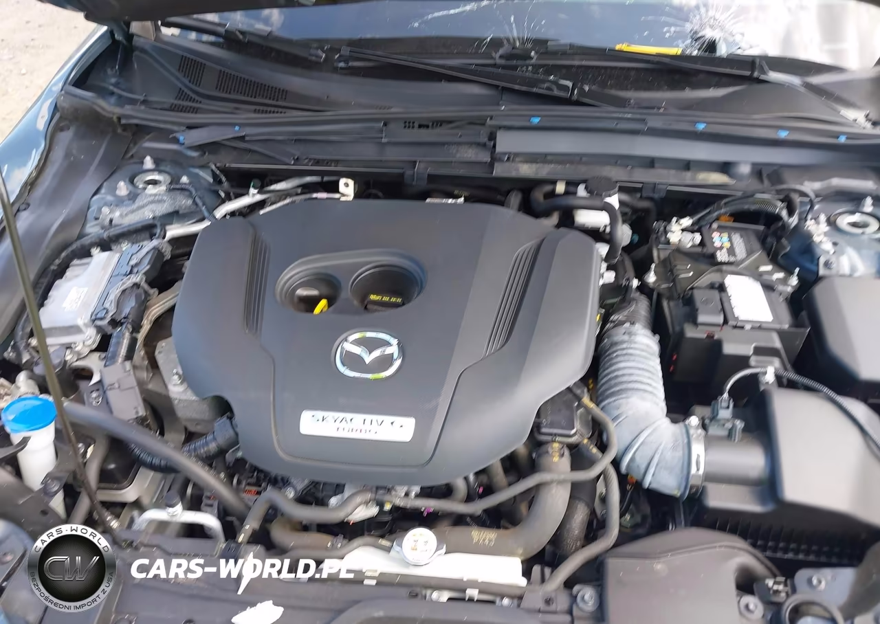 2024 Mazda Cx-30 2.5 Turbo Premium Package VIN:3MVDMBDY8RM628060 - 10