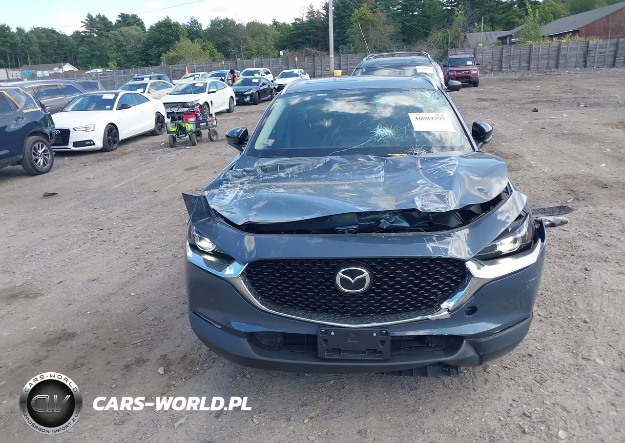 2024 Mazda Cx-30 2.5 Turbo Premium Package VIN:3MVDMBDY8RM628060 - 12