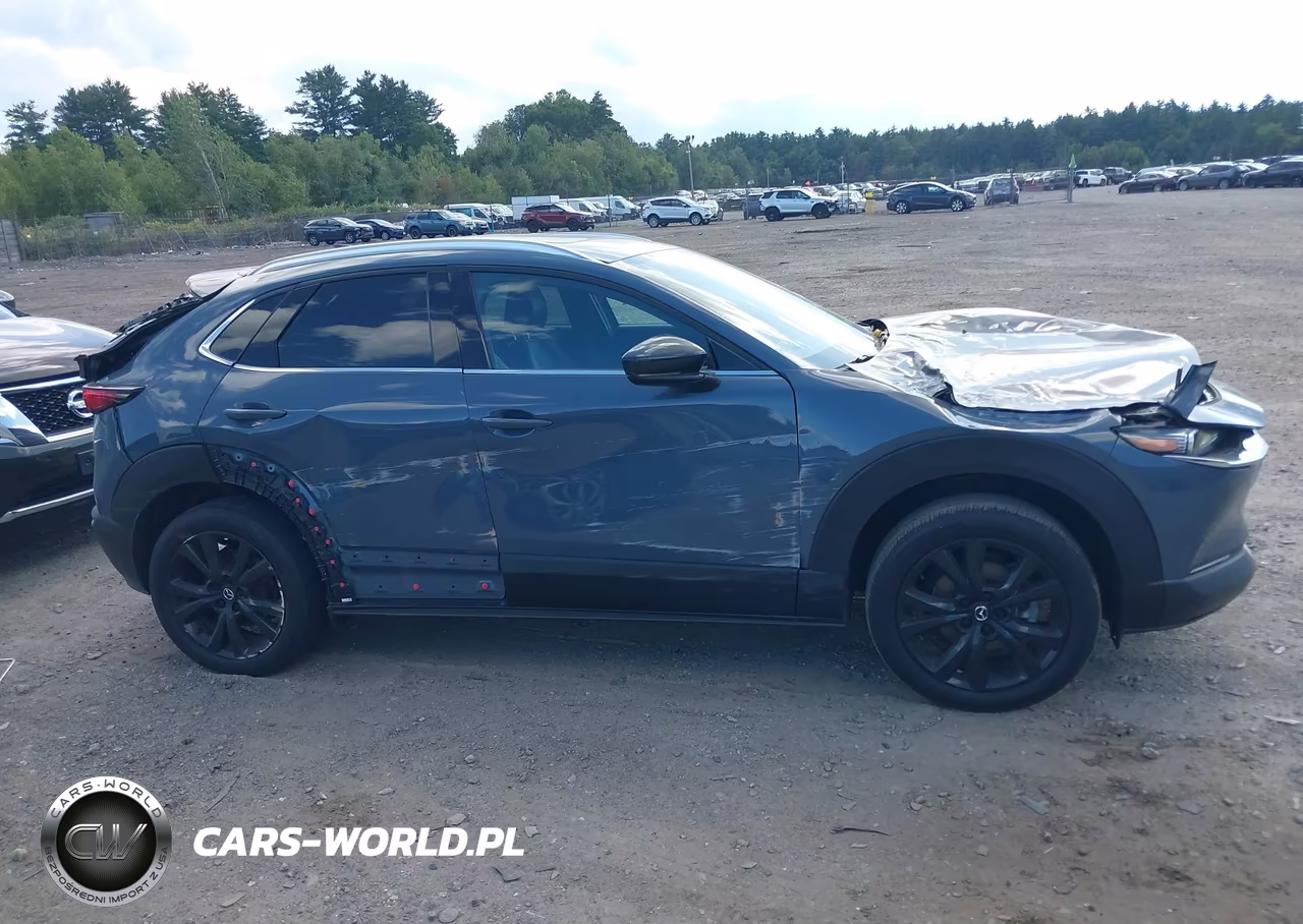 2024 Mazda Cx-30 2.5 Turbo Premium Package VIN:3MVDMBDY8RM628060 - 13