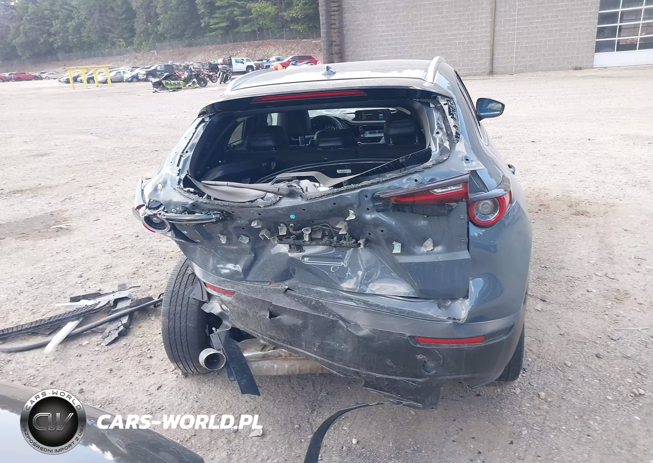 2024 Mazda Cx-30 2.5 Turbo Premium Package VIN:3MVDMBDY8RM628060 - 16