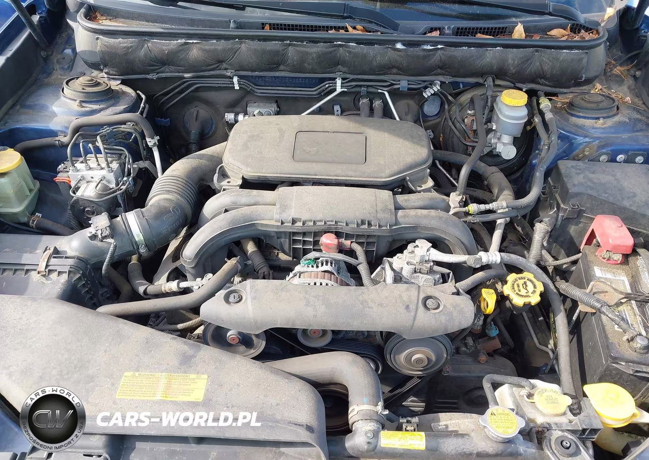 2010 Subaru Outback 2.5I Premium VIN:4S4BRBCC3A3352808 - 10