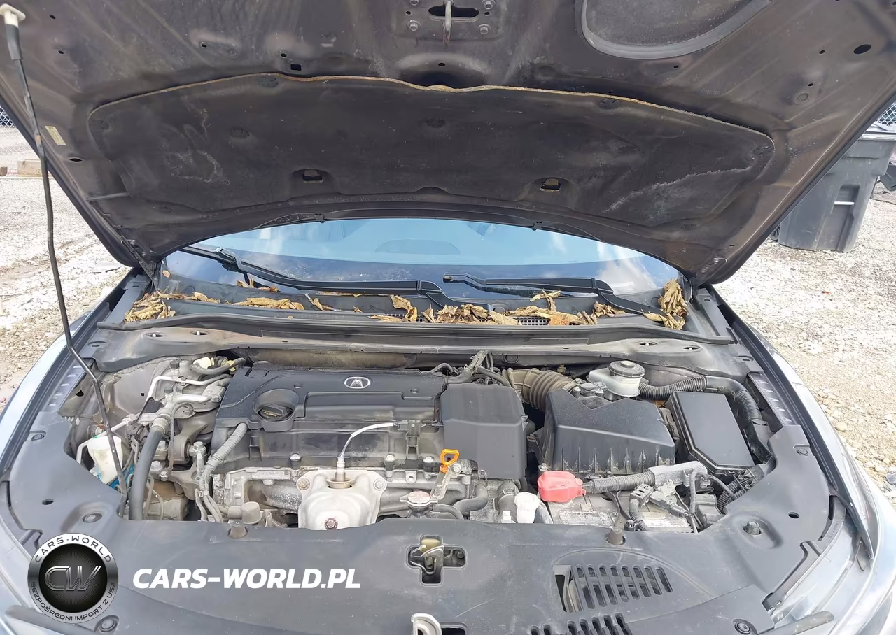 2021 Acura Ilx Premium Package-Technology Package VIN:19UDE2F77MA003854 - 10