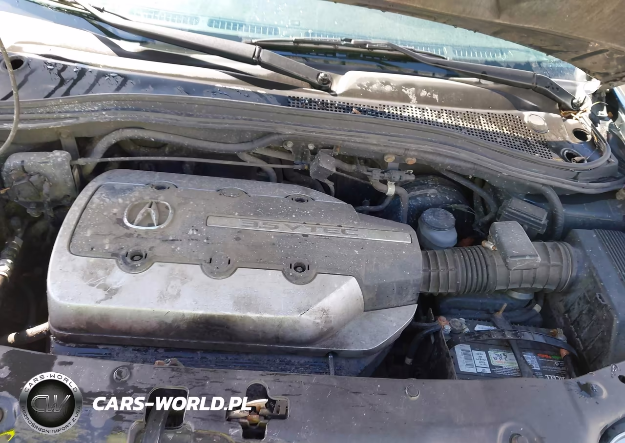 2006 Acura Mdx VIN:2HNYD18936H521213 - 10