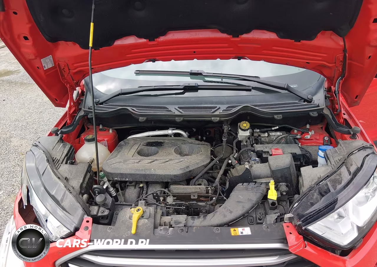 2021 Ford Ecosport Se VIN:MAJ6S3GL9MC455199 - 10