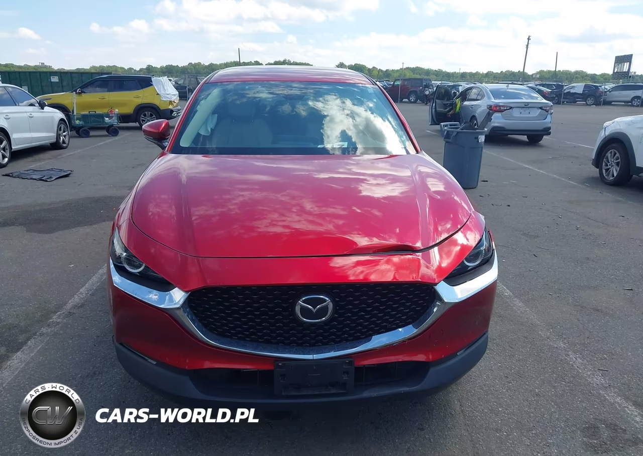 2020 Mazda Cx-30 Preferred Package VIN:3MVDMBDL3LM115407 - 12