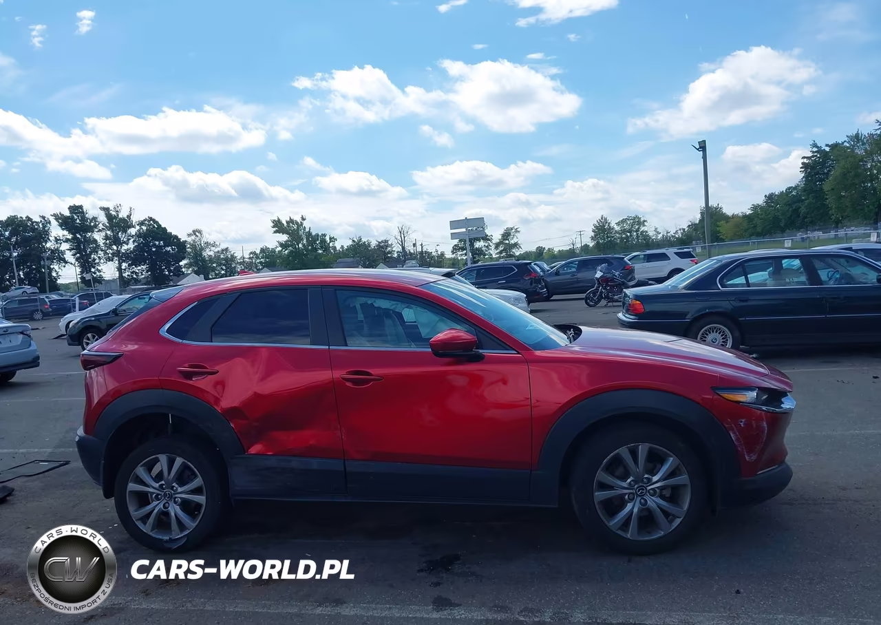 2020 Mazda Cx-30 Preferred Package VIN:3MVDMBDL3LM115407 - 13