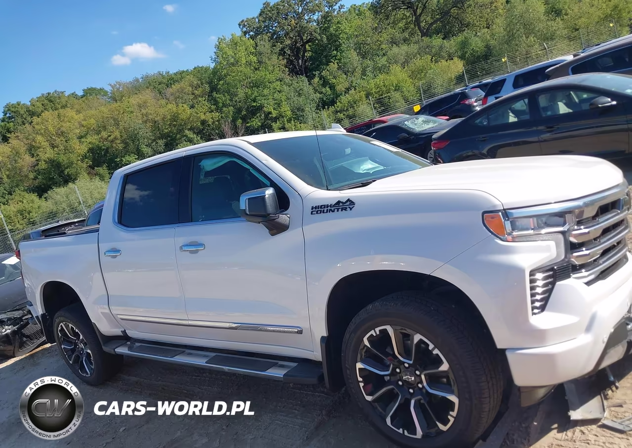 2024 Chevrolet Silverado 1500 4Wd Short Bed High Country VIN:1GCUDJED8RZ368927 - 12