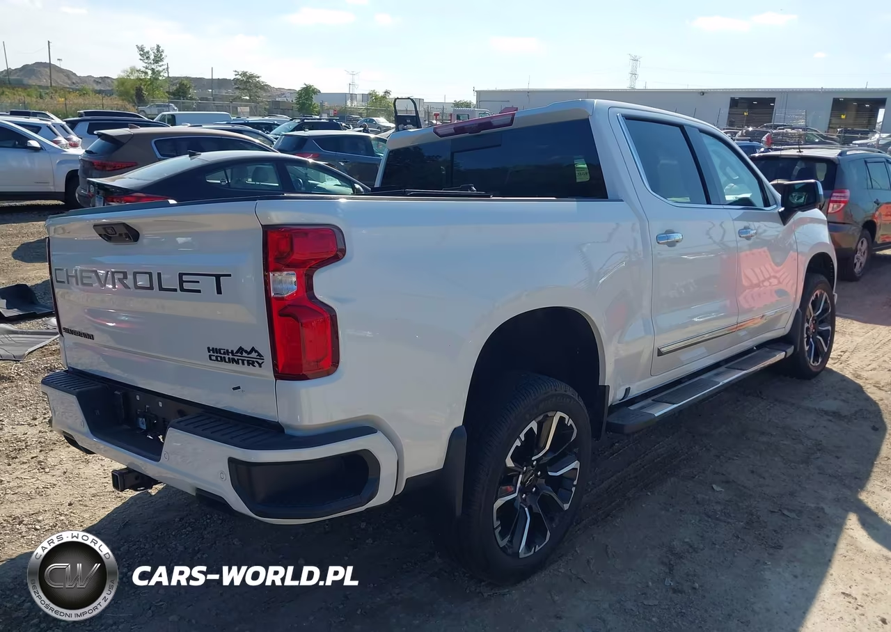 2024 Chevrolet Silverado 1500 4Wd Short Bed High Country VIN:1GCUDJED8RZ368927 - 4