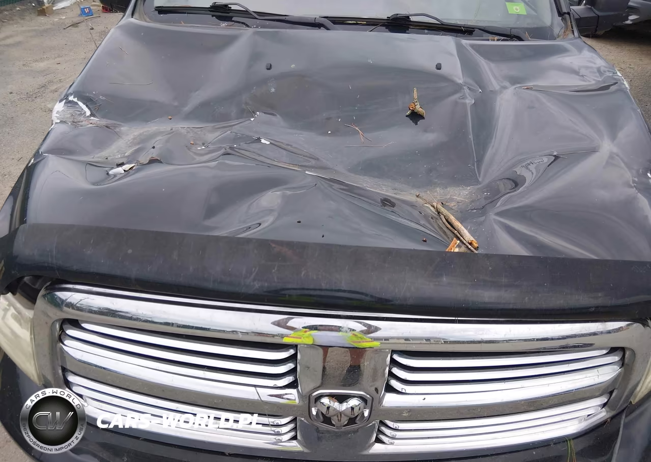 2016 Ram 1500 Big Horn VIN:1C6RR7LG7GS106627 - 17