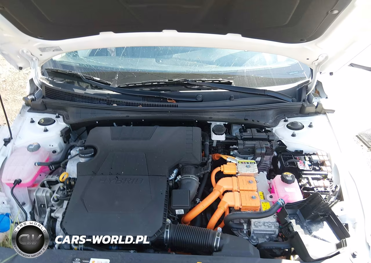 2024 Hyundai Elantra Hybrid Limited VIN:KMHLN4DJ1RU105043 - 10