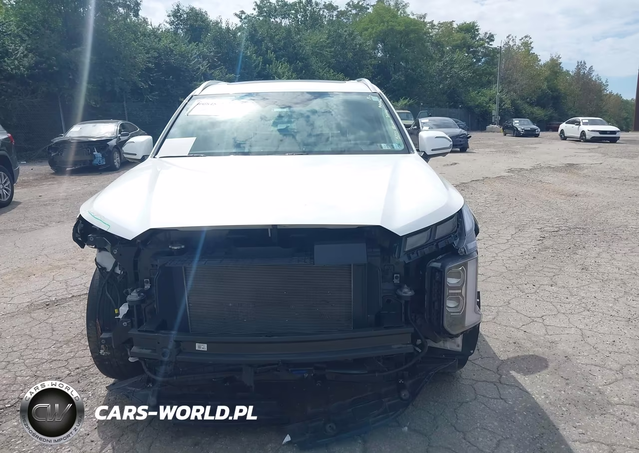 2024 Hyundai Palisade Limited VIN:KM8R5DGE6RU703704 - 13