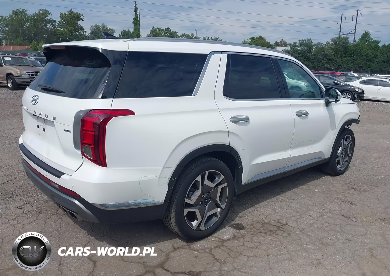 2024 Hyundai Palisade Limited VIN:KM8R5DGE6RU703704 - 4