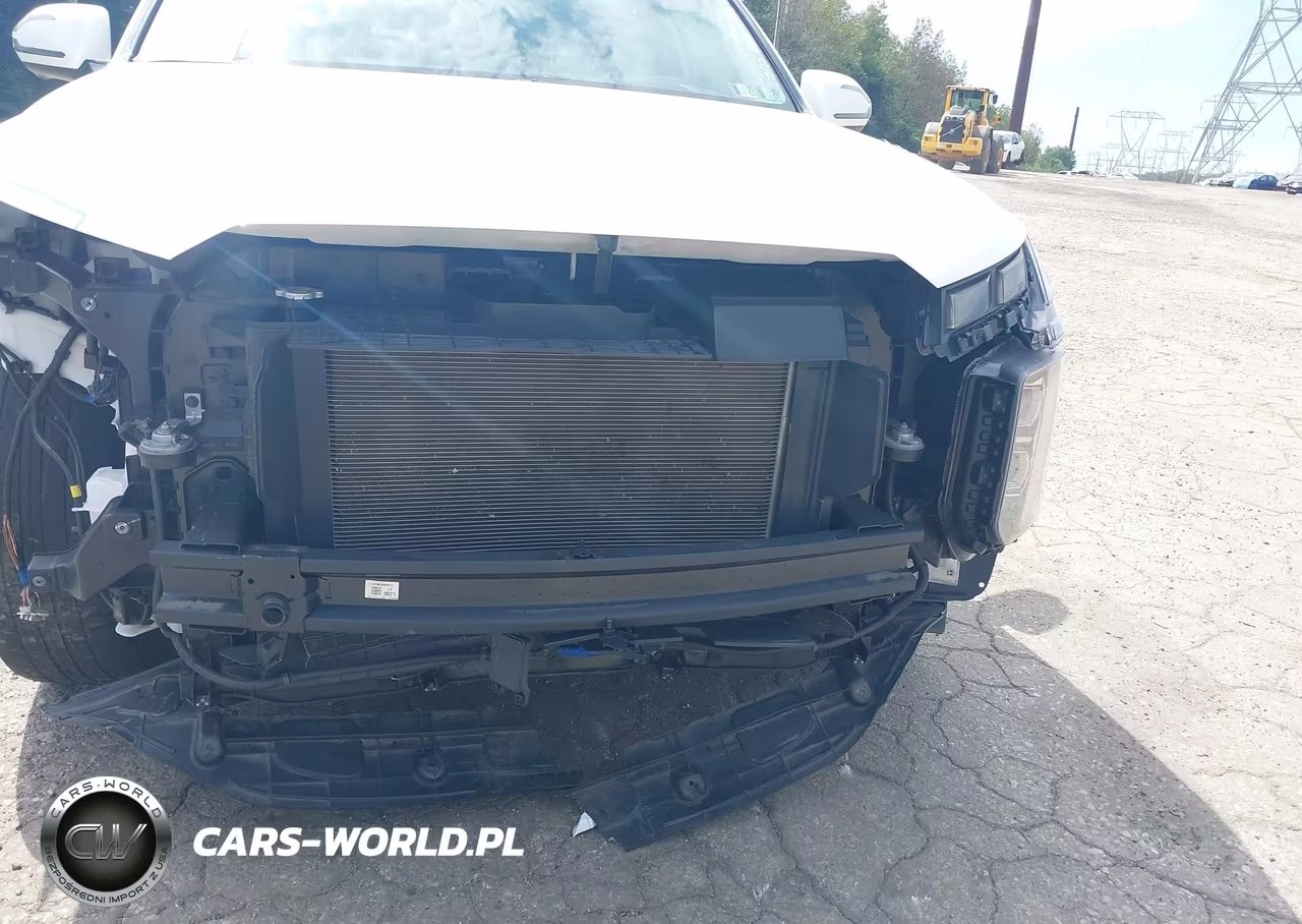 2024 Hyundai Palisade Limited VIN:KM8R5DGE6RU703704 - 6