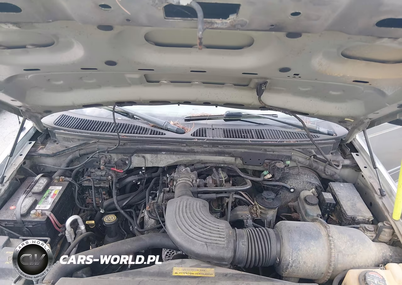 1999 Ford Expedition Eddie Bauer-Xlt VIN:1FMPU18L8XLA75248 - 10