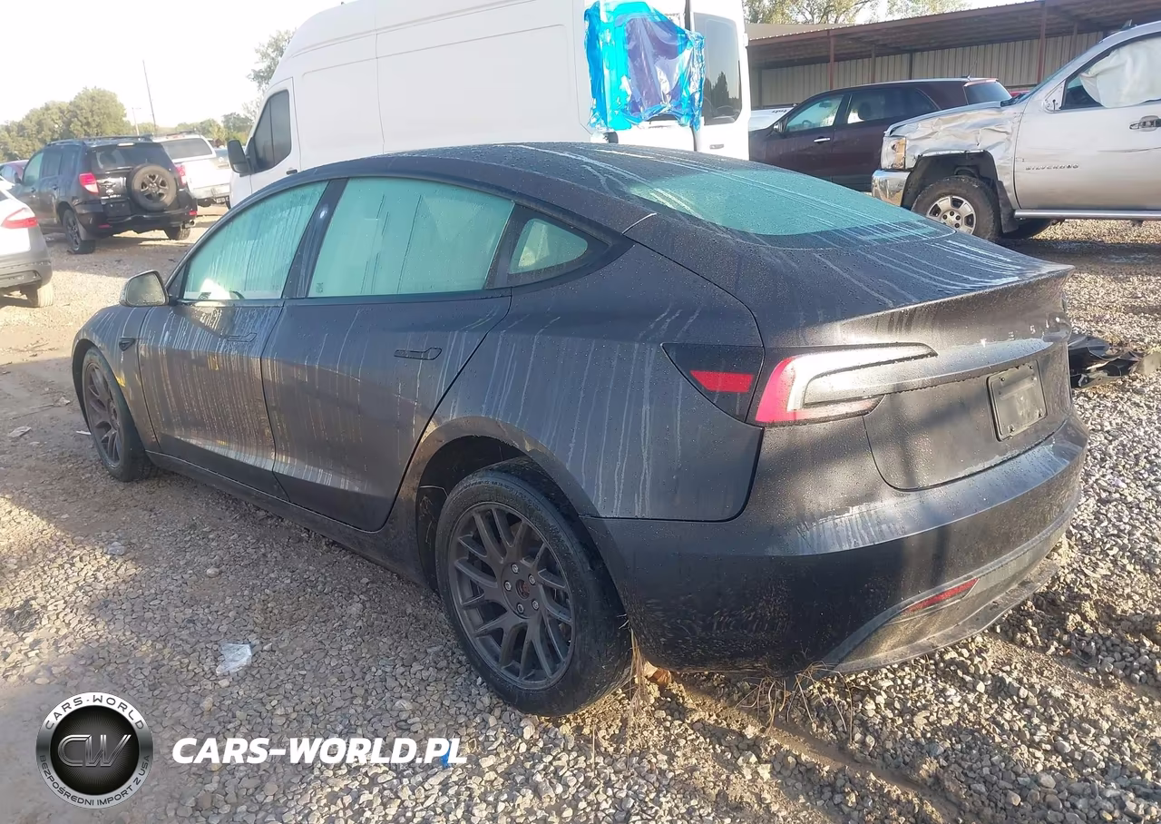 2025 Tesla Model 3 Long Range Rear-Wheel Drive-Standard Rear-Wheel Drive VIN:5YJ3E1EA5SF904470 - 3