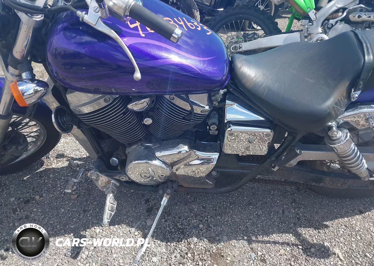 2003 Honda Vt750 Dcb VIN:JH2RC445X3M705713 - 9