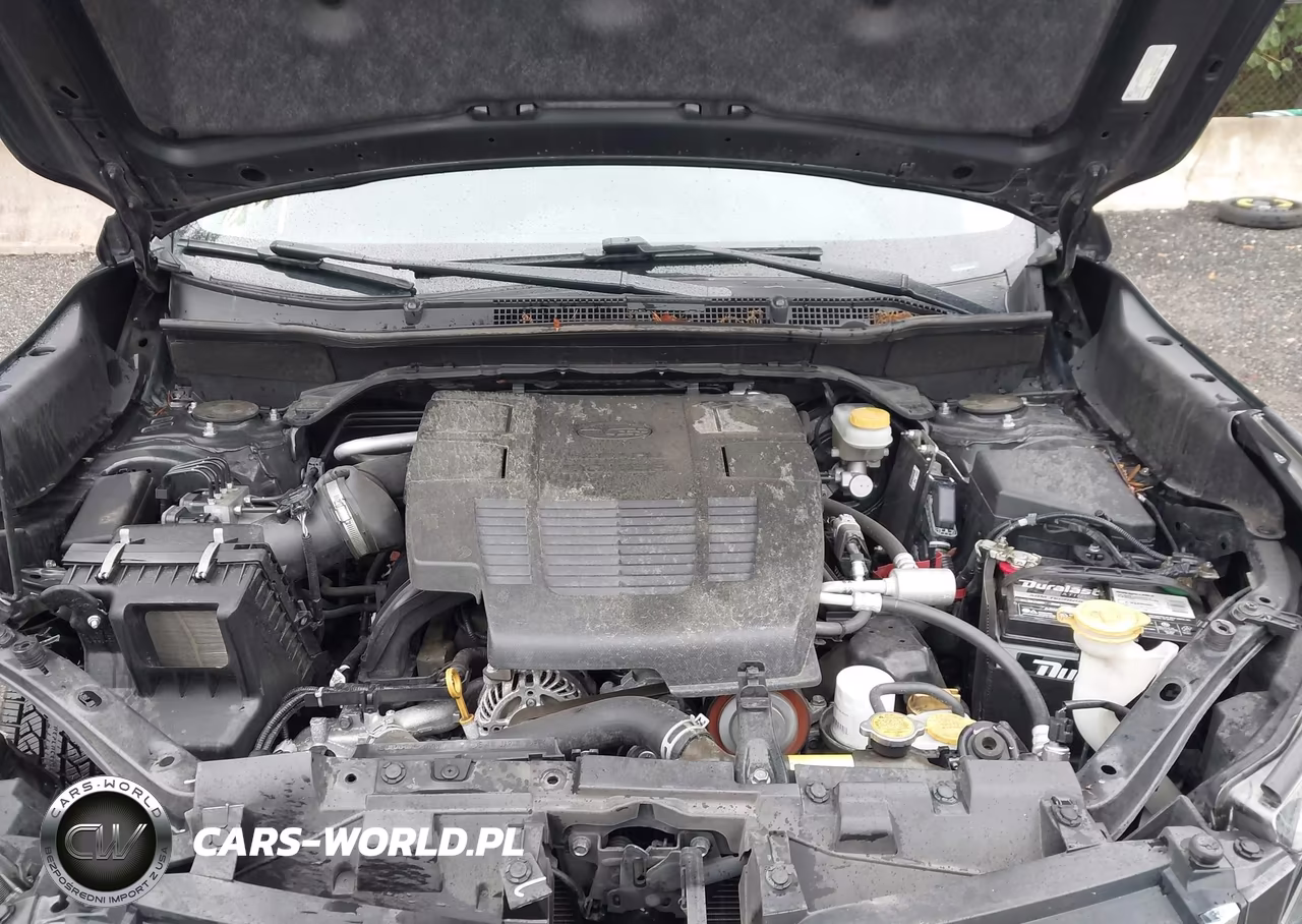 2019 Subaru Forester Limited VIN:JF2SKAUC0KH515695 - 10