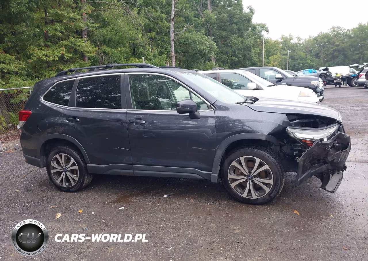 2019 Subaru Forester Limited VIN:JF2SKAUC0KH515695 - 13