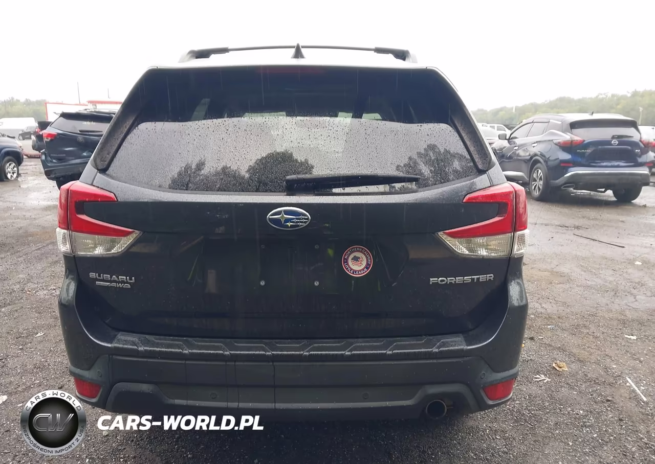 2019 Subaru Forester Limited VIN:JF2SKAUC0KH515695 - 16