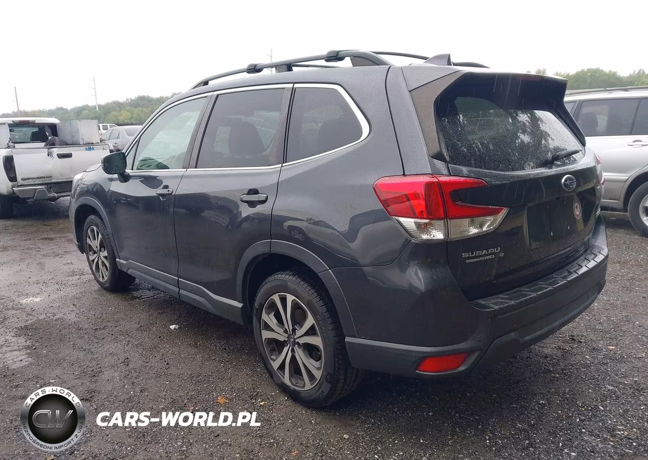 2019 Subaru Forester Limited VIN:JF2SKAUC0KH515695 - 3