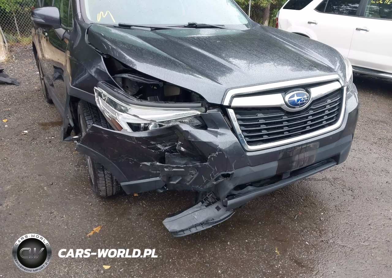 2019 Subaru Forester Limited VIN:JF2SKAUC0KH515695 - 6